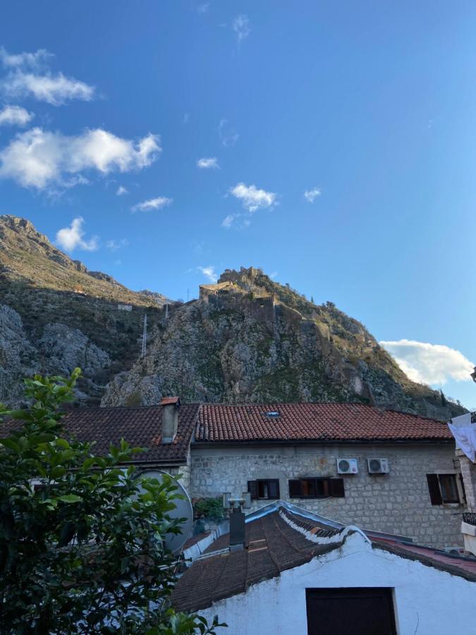 Viktor Rooms Kotor Ngoại thất bức ảnh